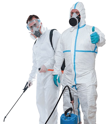 Best Pest Control and Cleaning Service
